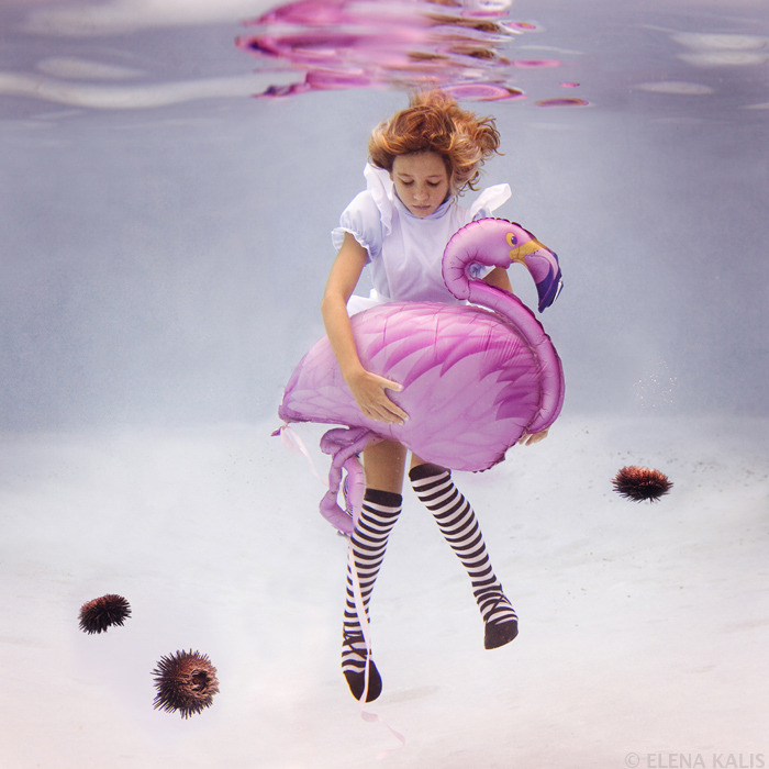 Elena Kalis - Alice in waterland