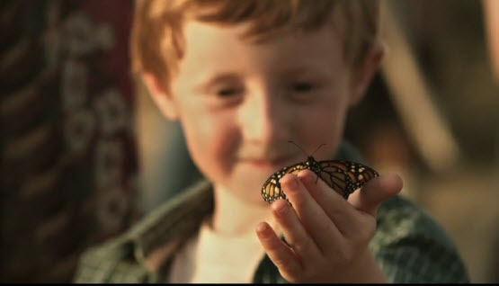 Il Circo della Farfalla