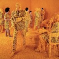 Sandy Skoglund