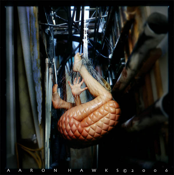 Photo by Aaron Hawks