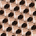 Claudia Rogge