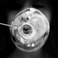 Benoit Courti