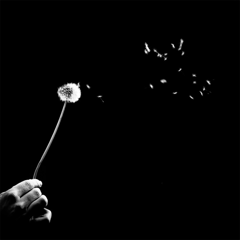 Benoit Courti