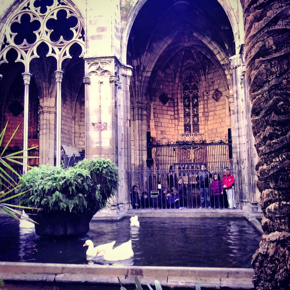 Barcellona - Cattedrale de la Santa Creu