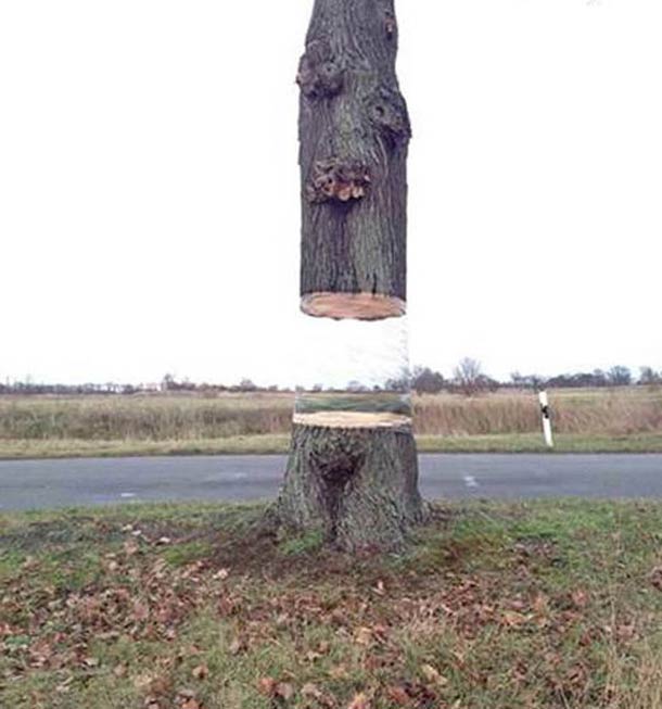 Daniel Siering e Mario Shu