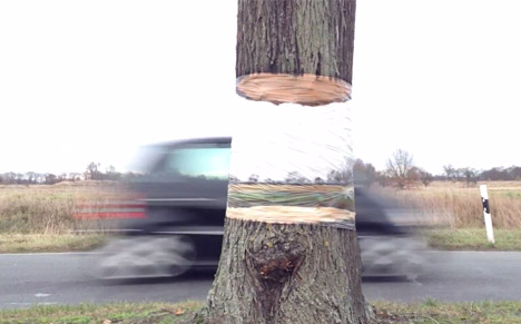 Daniel Siering e Mario Shu