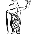 Francesco Cocco – Fra le linee – Voglio vederti danzare