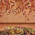Rebecca Louise Law 12