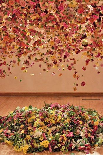 Rebecca Louise Law
