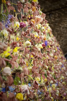 Rebecca Louise Law