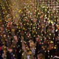 Rebecca Louise Law