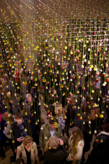 Rebecca Louise Law