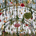 Rebecca Louise Law