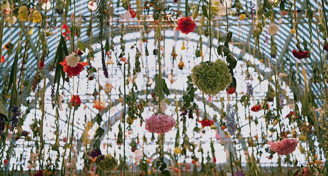 Rebecca Louise Law