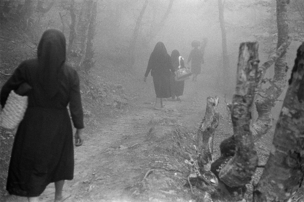 Sergio Larrain