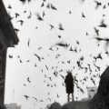 Sergio Larrain