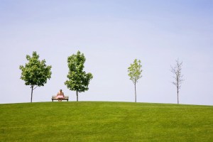 The Tutu Project The Tutu Project