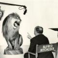 Alfred Hitchcock che dà indicazioni registiche al leone della Metro-Goldwyn-Mayer