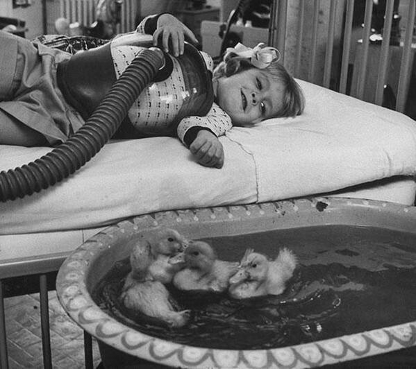 Animali usati come parte della terapia medica, 1956