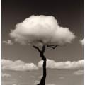 Chema Madoz