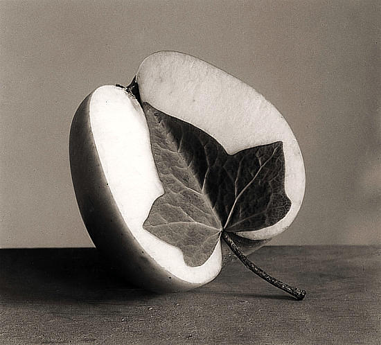 Chema Madoz