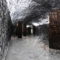 Chiharu Shiota