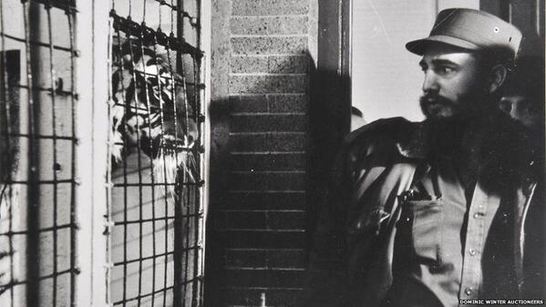 Fidel Castro fissa negli occhi una tigre al Bronx Zoo a New York City, 1959