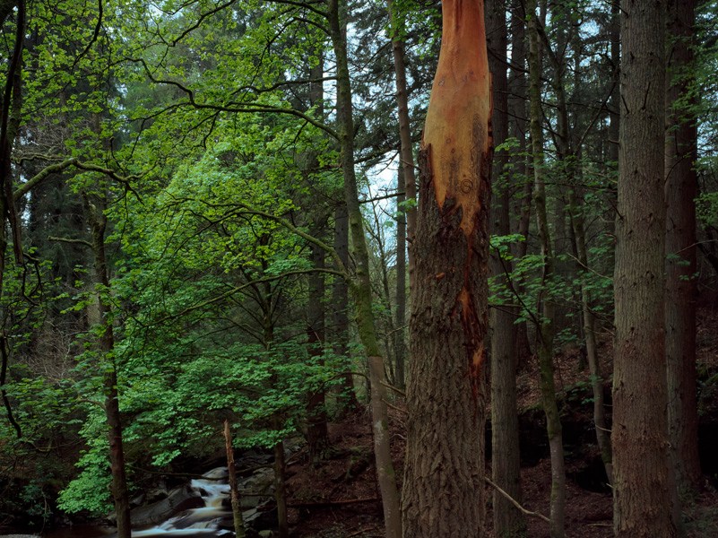 "Giant Hand" dell'artista gallese Simon O'Rourke