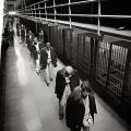 Gli ultimi priogionieri di Alcatraz in partenza, 1963