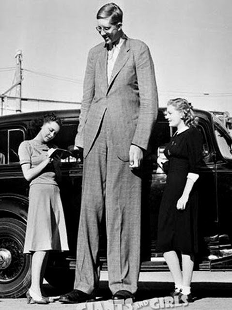 Robert Wadlow - The Giant of Illinois, is the tallest - 272 cm- person in history. C. 1940