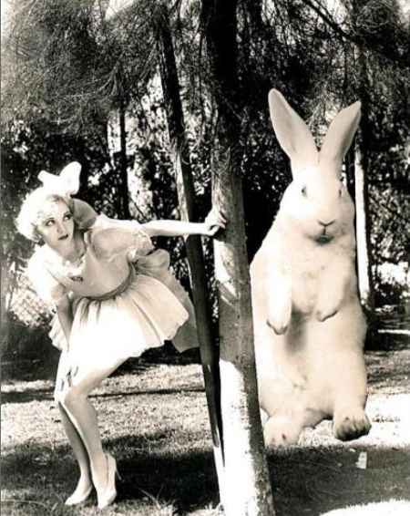 Alice si nasconde da un coniglio di Pasqua gigante