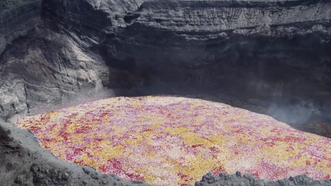 Pioggia di fiori in Costa Rica