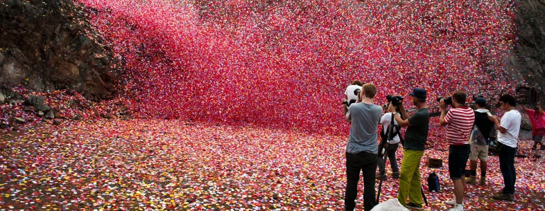 Pioggia di fiori in Costa Rica
