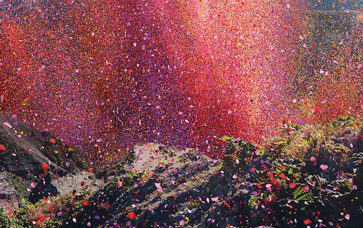 Pioggia di fiori in Costa Rica