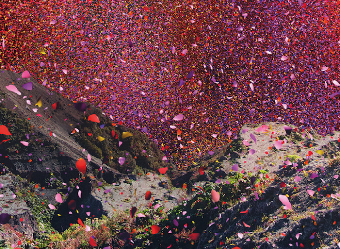 Pioggia di fiori in Costa Rica