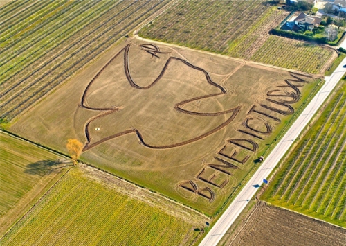 Dario Gambarin - Benedictus XVI