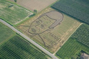 Dario Gambarin - Mandela