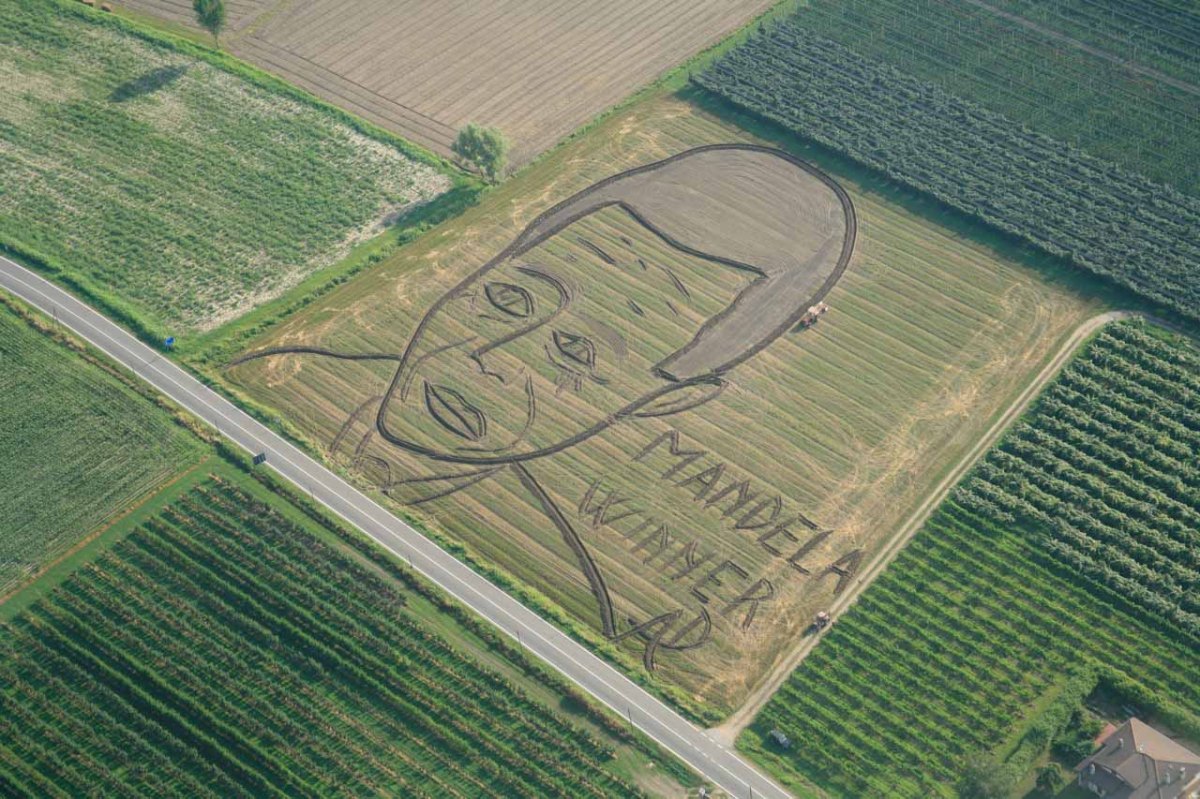 Dario Gambarin - Mandela