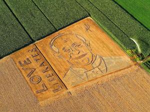 Dario Gambarin - Papa Francesco