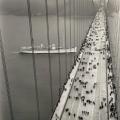 Golden Gate Bridge – inaugurazione. 1937
