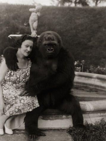 La signora E. Kenneth Hoyt e il suo Gorilla, National Geographic, 1940