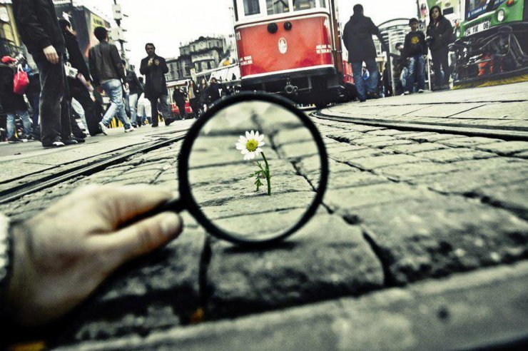 Scatto del fotografo turco Salih Agir
