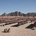 Kaupo kikkas – il cinema abbandonato nel deserto egiziano