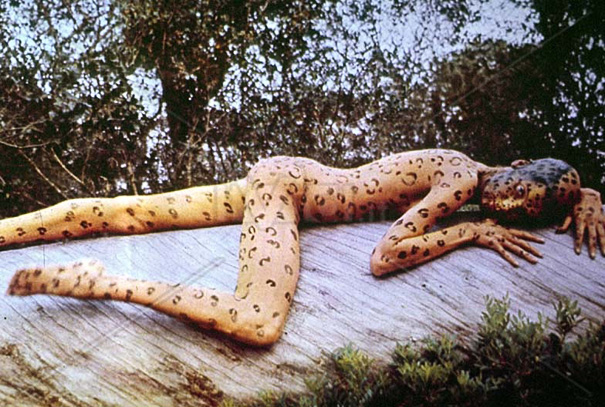 Veruschka von Lehndorff