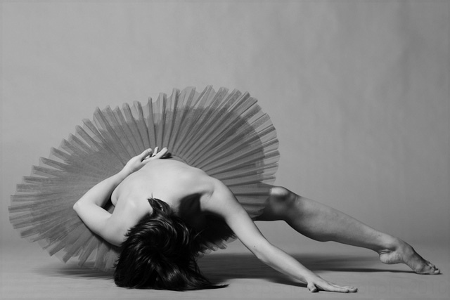 Christopher Peddecord