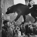 “Due cani acrobati” Parigi, Francia, 1953. Foto di Marc Riboud