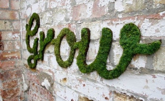 Environmental graffiti