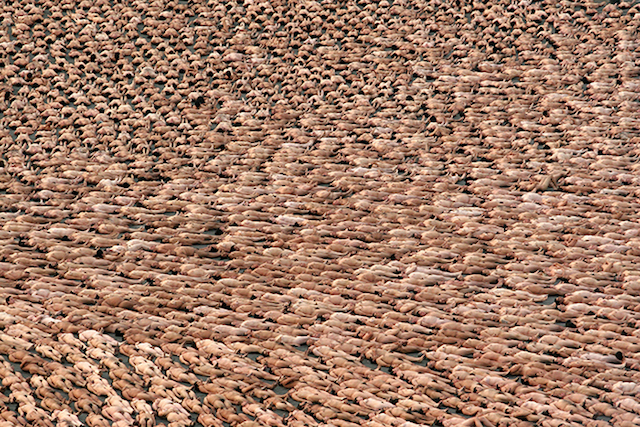 Spencer Tunick