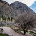 Oracolo di Delfi – Il santuario