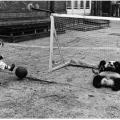 Un ragazzo gioca a calcio contro un panda gigante allo zoo di Londra 1939